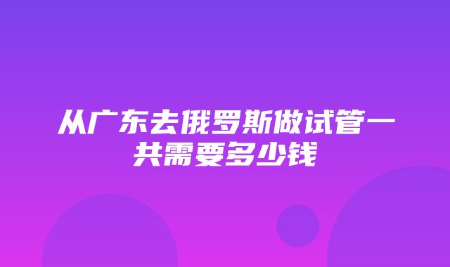 从广东去俄罗斯做试管一共需要多少钱