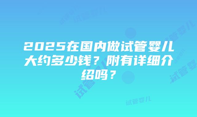 2025在国内做试管婴儿大约多少钱？附有详细介绍吗？