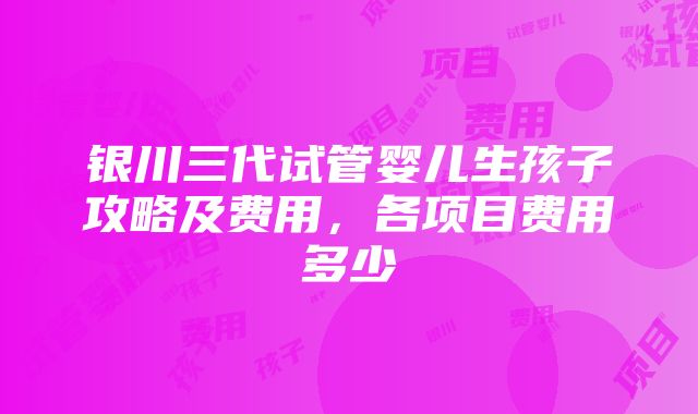 银川三代试管婴儿生孩子攻略及费用，各项目费用多少