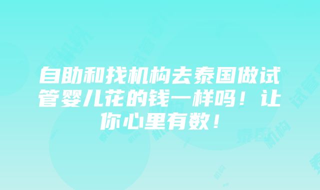 自助和找机构去泰国做试管婴儿花的钱一样吗！让你心里有数！