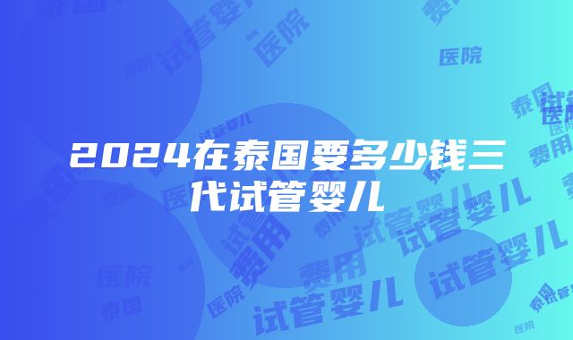 2024在泰国要多少钱三代试管婴儿