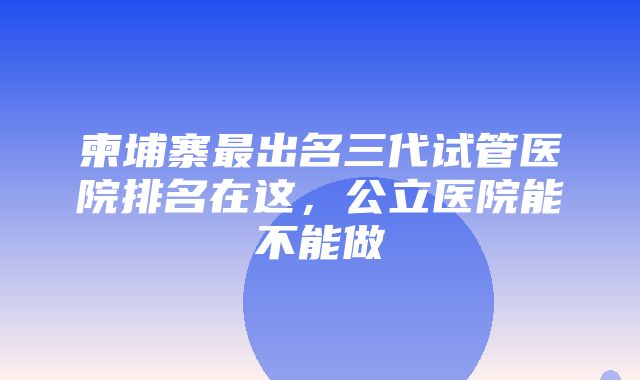 柬埔寨最出名三代试管医院排名在这，公立医院能不能做