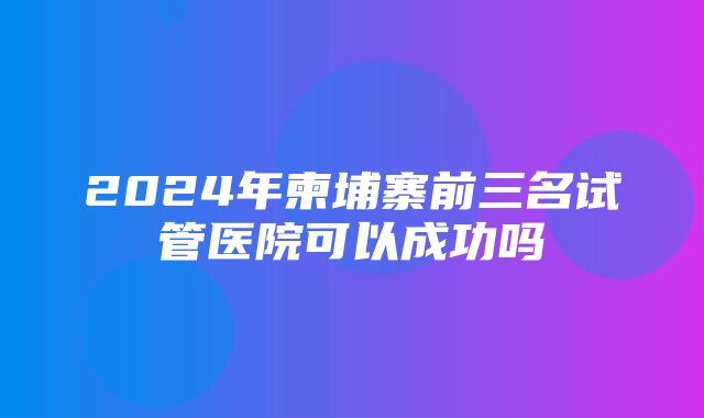 2024年柬埔寨前三名试管医院可以成功吗