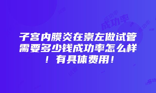 子宫内膜炎在崇左做试管需要多少钱成功率怎么样！有具体费用！