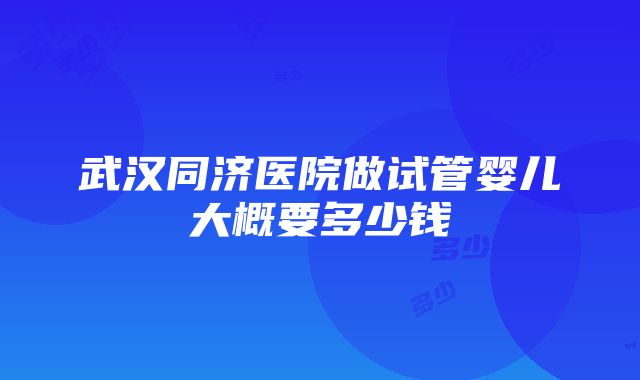 武汉同济医院做试管婴儿大概要多少钱