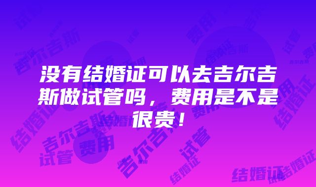 没有结婚证可以去吉尔吉斯做试管吗，费用是不是很贵！