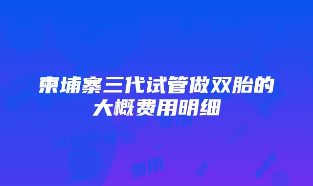 柬埔寨三代试管做双胎的大概费用明细