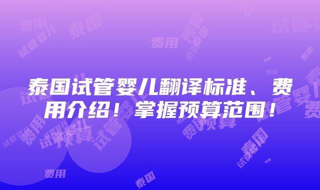 泰国试管婴儿翻译标准、费用介绍！掌握预算范围！