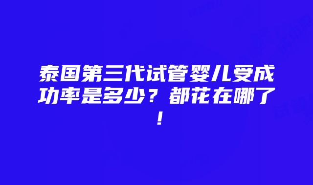 泰国第三代试管婴儿受成功率是多少？都花在哪了！