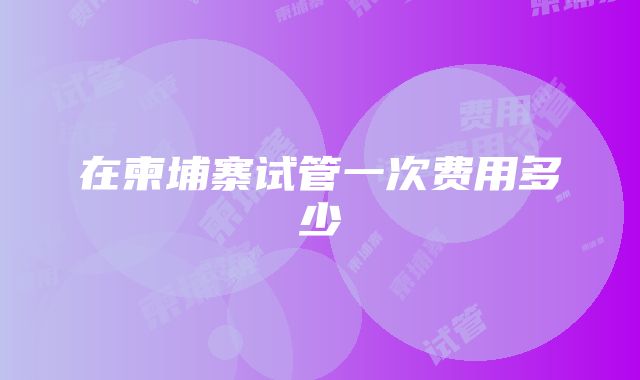 在柬埔寨试管一次费用多少