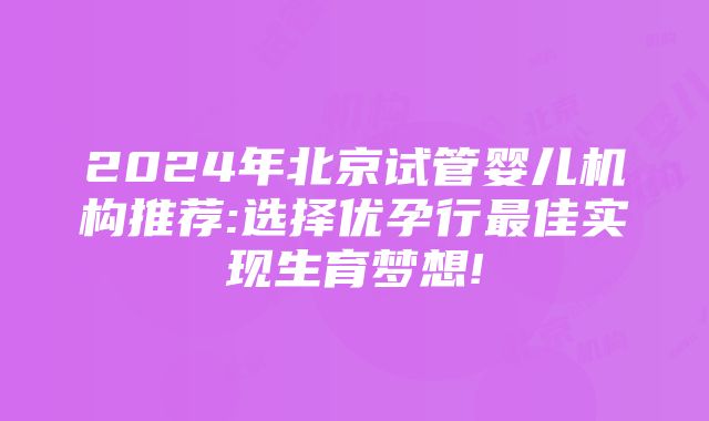 2024年北京试管婴儿机构推荐:选择优孕行最佳实现生育梦想!