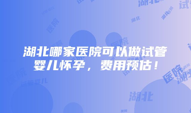 湖北哪家医院可以做试管婴儿怀孕，费用预估！