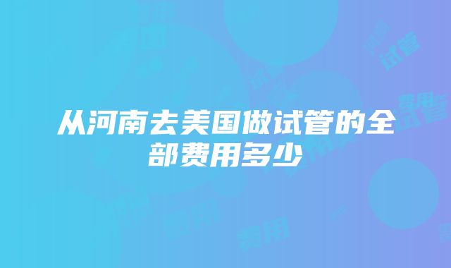 从河南去美国做试管的全部费用多少