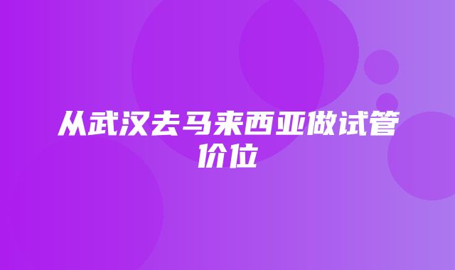 从武汉去马来西亚做试管价位