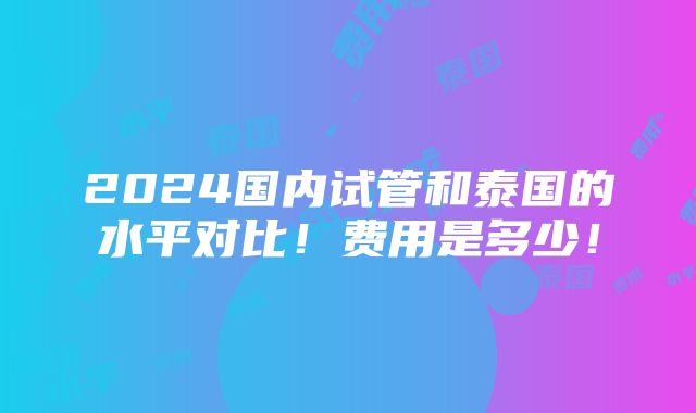 2024国内试管和泰国的水平对比！费用是多少！