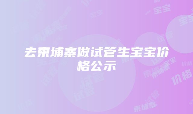 去柬埔寨做试管生宝宝价格公示