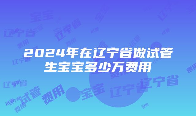 2024年在辽宁省做试管生宝宝多少万费用