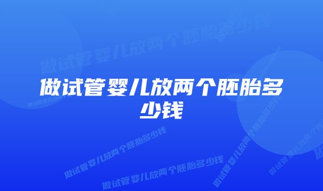 做试管婴儿放两个胚胎多少钱