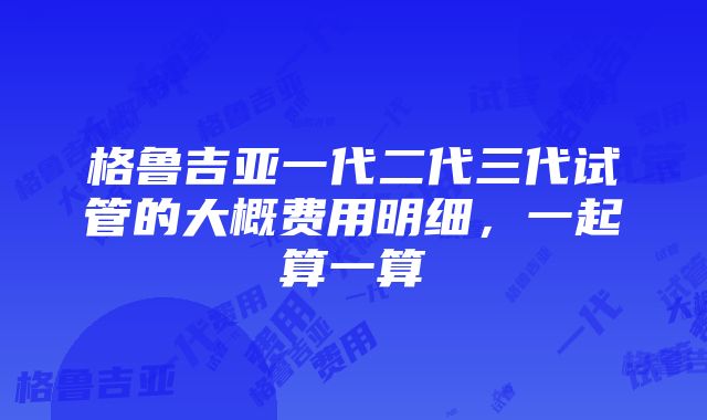 格鲁吉亚一代二代三代试管的大概费用明细，一起算一算