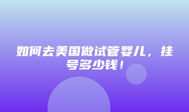 如何去美国做试管婴儿，挂号多少钱！