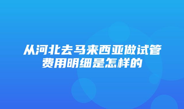 从河北去马来西亚做试管费用明细是怎样的