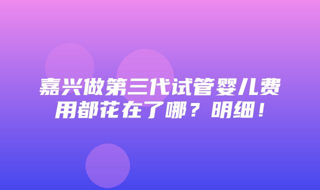 嘉兴做第三代试管婴儿费用都花在了哪？明细！