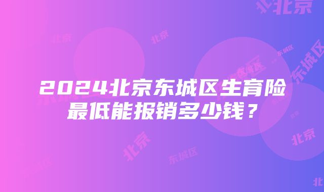 2024北京东城区生育险最低能报销多少钱？