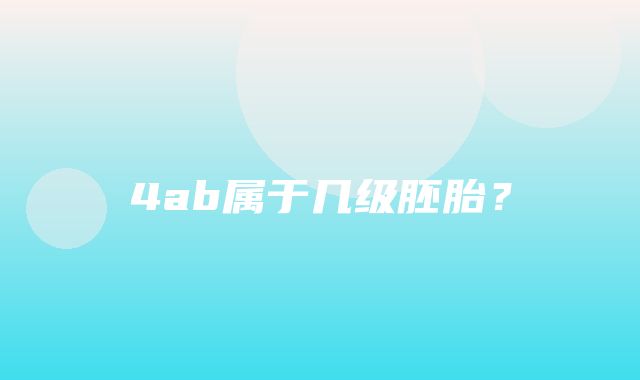 4ab属于几级胚胎？