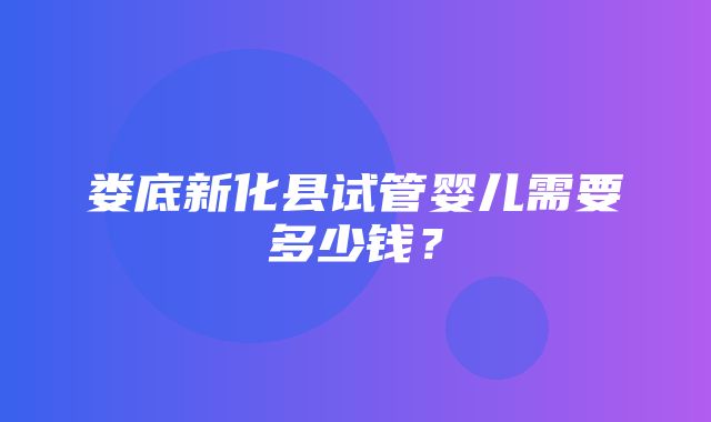 娄底新化县试管婴儿需要多少钱？