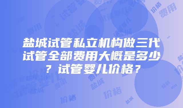 盐城试管私立机构做三代试管全部费用大概是多少？试管婴儿价格？