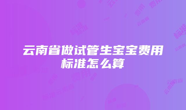 云南省做试管生宝宝费用标准怎么算