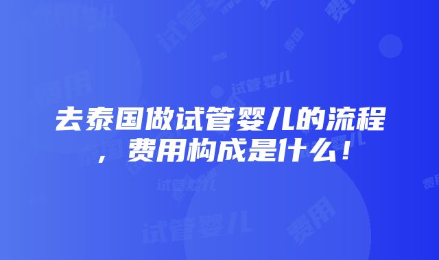 去泰国做试管婴儿的流程，费用构成是什么！