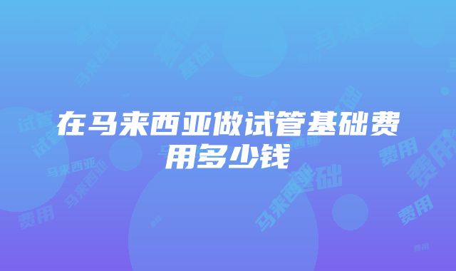 在马来西亚做试管基础费用多少钱