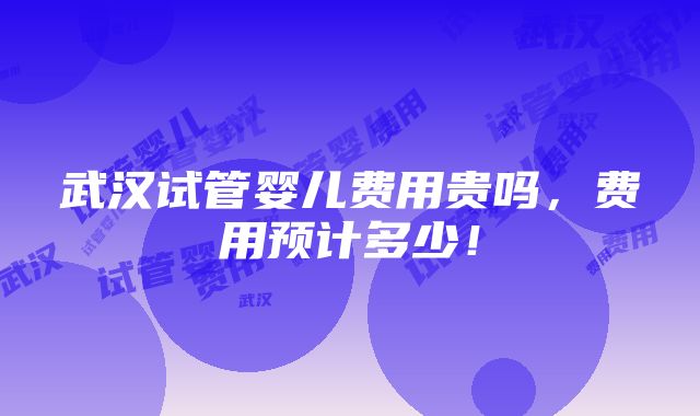 武汉试管婴儿费用贵吗，费用预计多少！