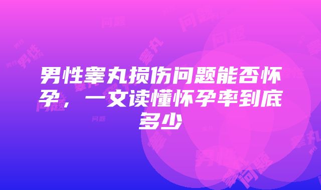 男性睾丸损伤问题能否怀孕，一文读懂怀孕率到底多少