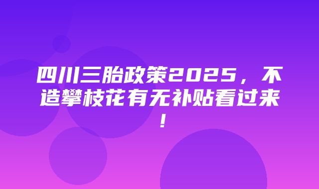 四川三胎政策2025，不造攀枝花有无补贴看过来！