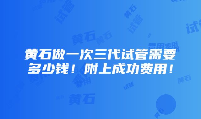 黄石做一次三代试管需要多少钱！附上成功费用！