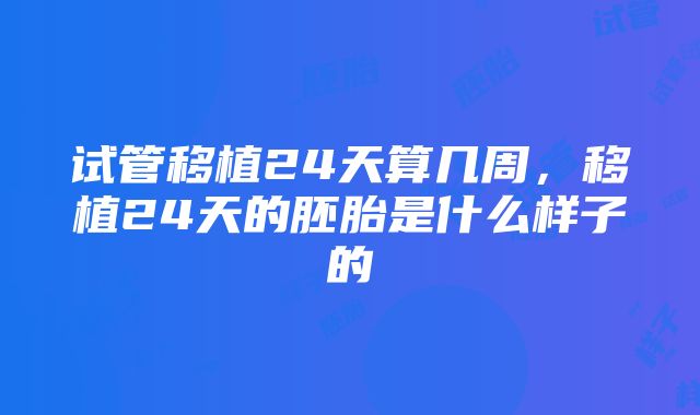 试管移植24天算几周，移植24天的胚胎是什么样子的