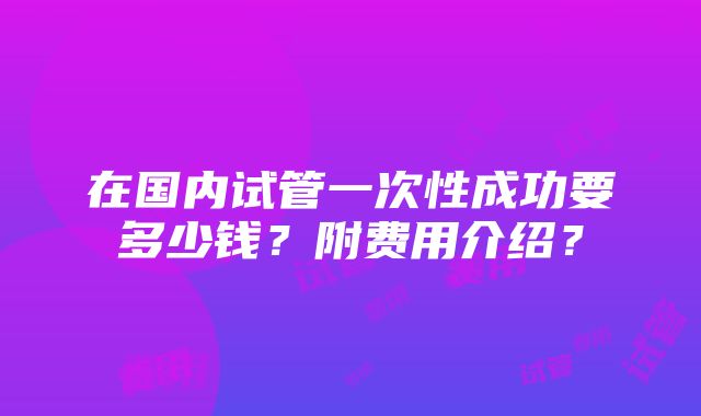 在国内试管一次性成功要多少钱？附费用介绍？