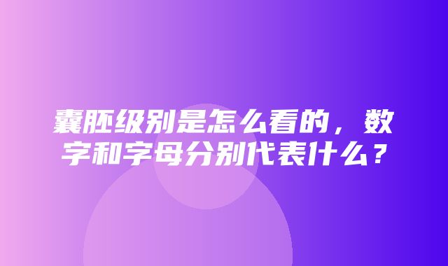 囊胚级别是怎么看的，数字和字母分别代表什么？