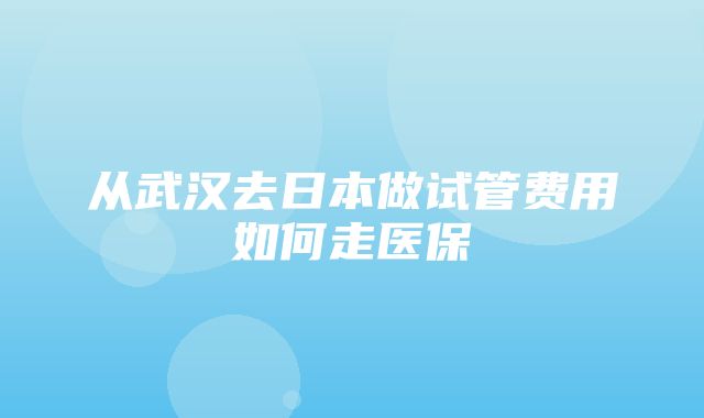 从武汉去日本做试管费用如何走医保