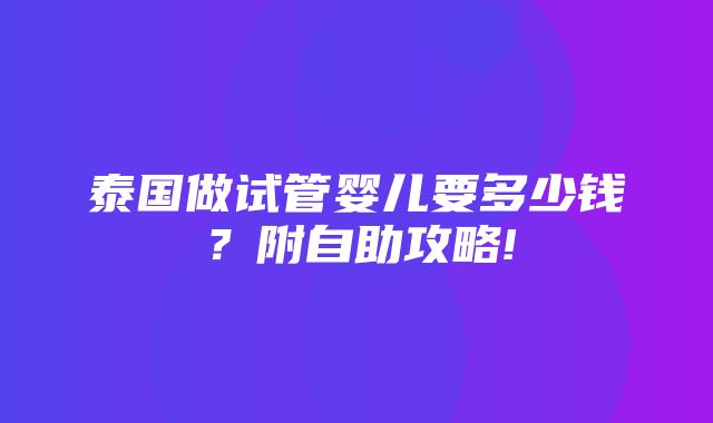 泰国做试管婴儿要多少钱？附自助攻略!