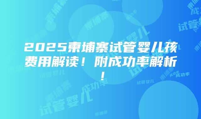 2025柬埔寨试管婴儿孩费用解读！附成功率解析！