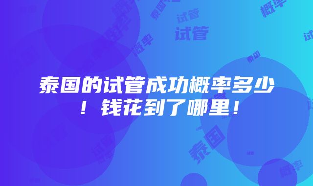 泰国的试管成功概率多少！钱花到了哪里！