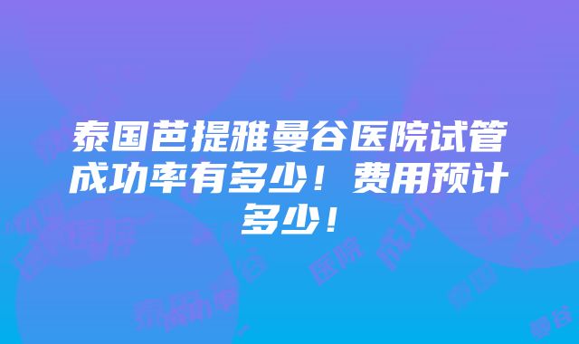 泰国芭提雅曼谷医院试管成功率有多少！费用预计多少！