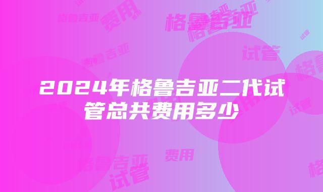 2024年格鲁吉亚二代试管总共费用多少