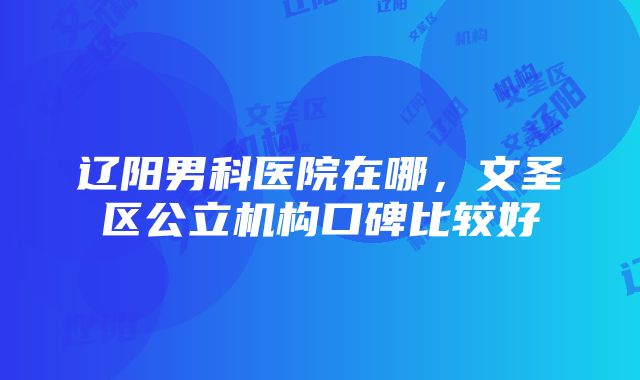 辽阳男科医院在哪，文圣区公立机构口碑比较好