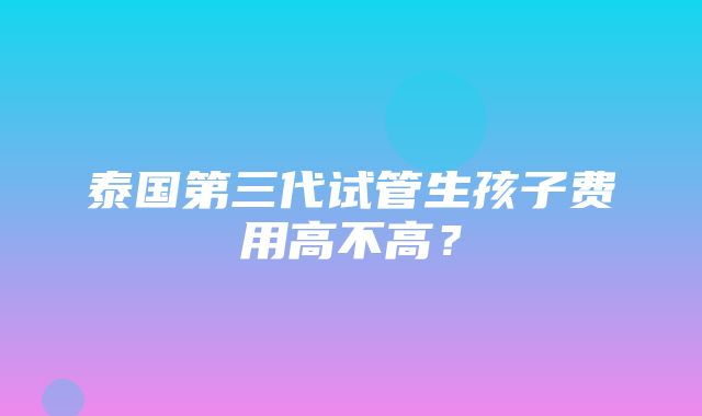 泰国第三代试管生孩子费用高不高？