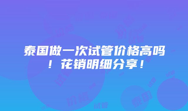 泰国做一次试管价格高吗！花销明细分享！