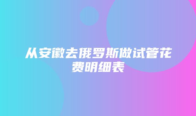 从安徽去俄罗斯做试管花费明细表